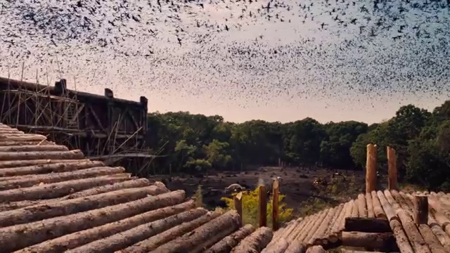 НОЙ - Официальный трейлер смотреть онлайн