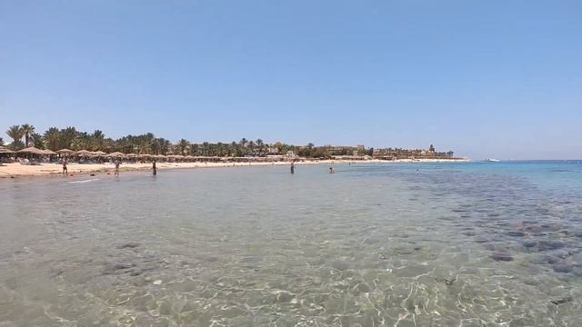 отель Prima Life Makadi Bay. Hurghada Ägypten. красное море. coral reef SNORKELING Египет смотреть онлайн