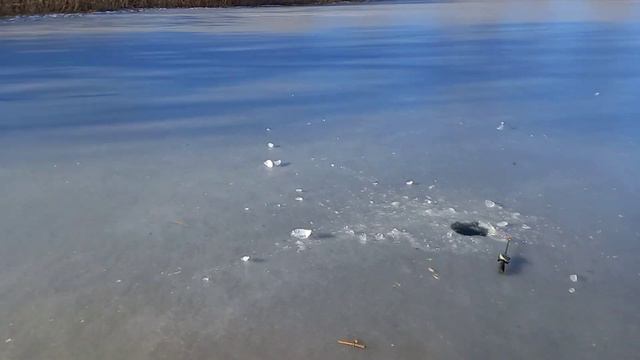 зимняя рыбалка на поплавок. и на кивок. смотреть онлайн
