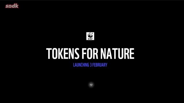 ТЁМНАЯ СТОРОНА NFT