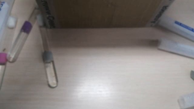 Распаковка посылки с двумя новыми видами муравьёв. #МуравьиЯрославль смотреть онлайн