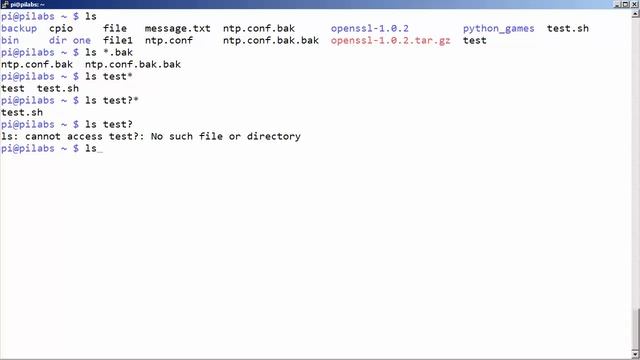 File Globbing in Linux смотреть онлайн