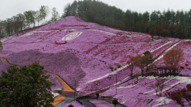 旅行先で雨にあったアルバムより