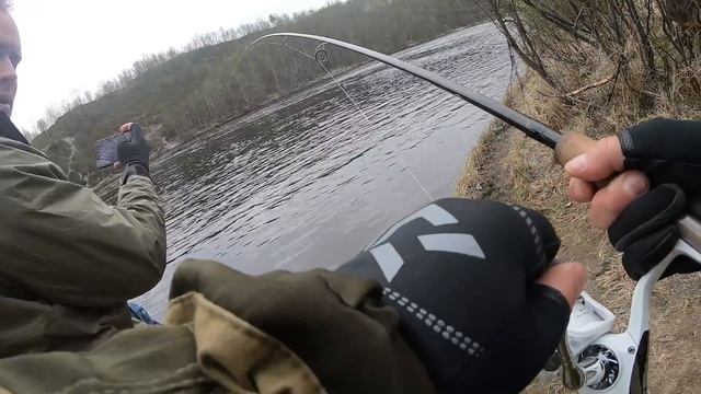 Река Кола...Семга!29.05.2019.