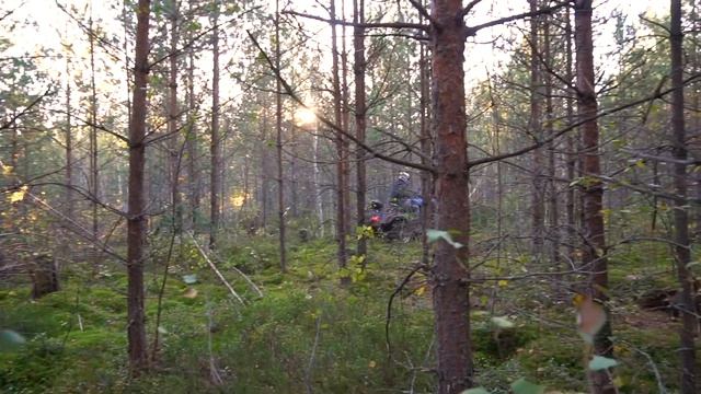 Квадроцикл CFMOTO X5 Classic смотреть онлайн