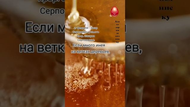 Если много инея на ветках деревьев, то... смотреть онлайн