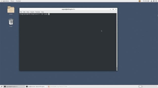 Running Ksplice commands (online mode) on Oracle Linux смотреть онлайн