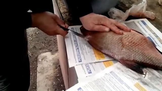 Магия с Иллюзиями и Обманами