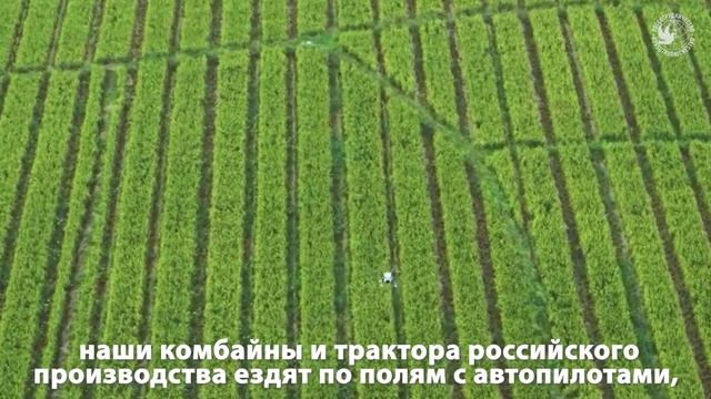 Олег Сирота смотреть онлайн