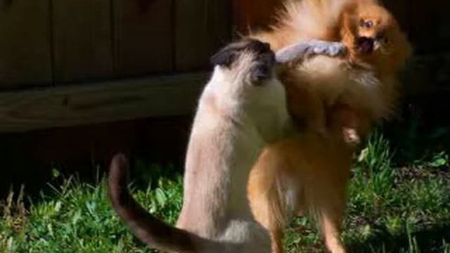 KICK IN THE FACE - Feelinx [Insperation: Jürgen Paape - Ofterschwang] смотреть онлайн