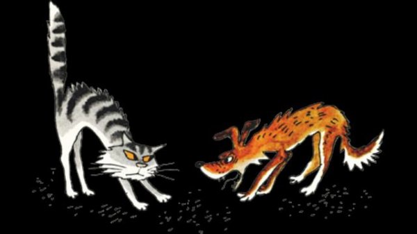 Котик вышел на тропинку.