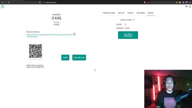 How To Setup Kaspa Web Wallet + KAS Faucet - EASY Kaspa Tutorial