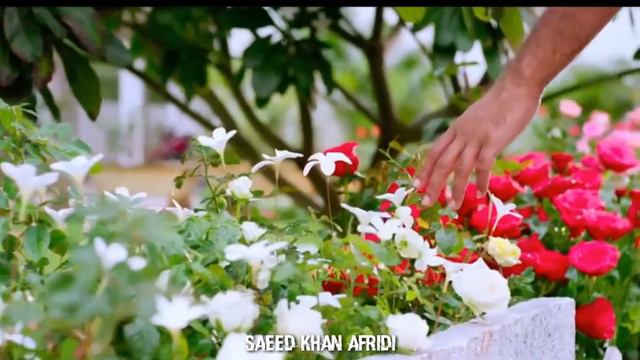 Ooba hindi new frest songs romantic songs sweet love story( 1080) смотреть онлайн