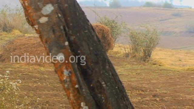 Head Loaders Shillong Meghalaya смотреть онлайн