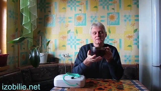 Капустный квас 15 - й день смотреть онлайн