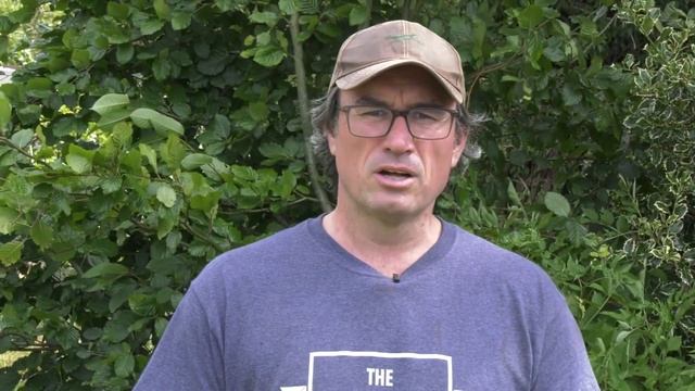 Fieldsports Britain - Crow lights up the rabbits смотреть онлайн