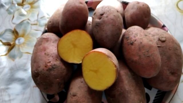 Какую картошку выбрать на зиму, какая будет полезен, вкуснее .../Which potatoes to choose for the смотреть онлайн