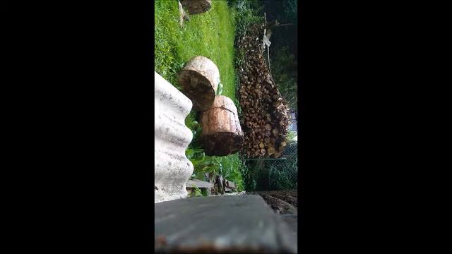 dĚDA bABIČKA BY ASI NESOUHLASILA смотреть онлайн