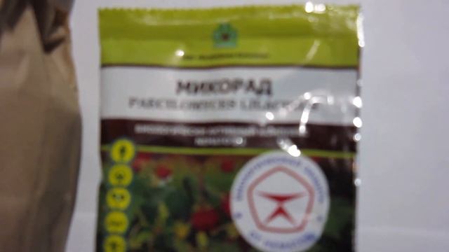 Глиоген и Немато смотреть онлайн