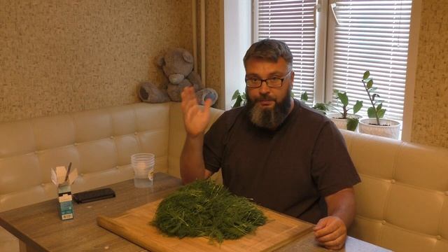 Как правильно заготовить укроп на зиму смотреть онлайн