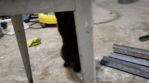 СТЕЛЛАЖ СВОИМИ РУКАМИ ИЗ УГОЛКА 25Х25 И ОСБ ?metal shelving from a corner and chipboard