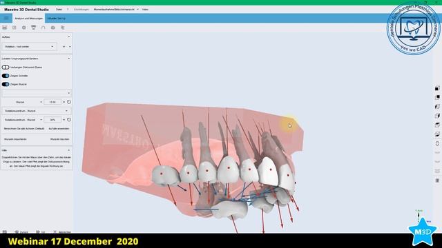 Maestro 3D | Webinar 17 December 2020
