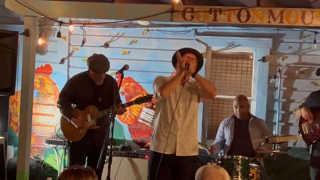 James Cotton Tribute - Rocket 88 - Mark Hummel and James Cotton Band @ Cottonmouth Bradenton Fl VOT смотреть онлайн