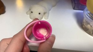 Вечер со СКВИШИ СОБАКАМИ