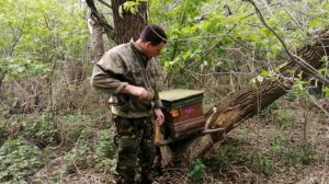 Ловля роёв (первый опыт)!  Ставлю ловушки для пчел - открываем сезон!