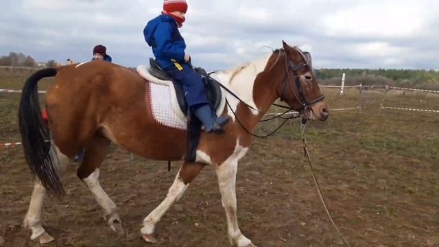 Саве уже 7 лет...и он управляет лошадью как большой) смотреть онлайн