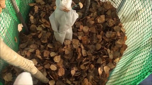 ЮККА | СУХОЕ УКРЫТИЕ НА ЗИМУ смотреть онлайн