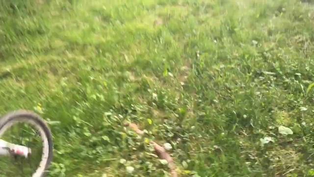 Прогулка по дачным окрестностям с бывшими. Чеховские дачи 2020 смотреть онлайн