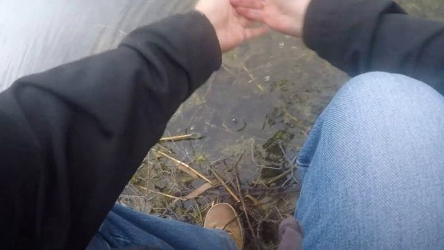 Рыбалка в СПБ . карьеры возле дома (попал на раздачу). street fishing spb. смотреть онлайн