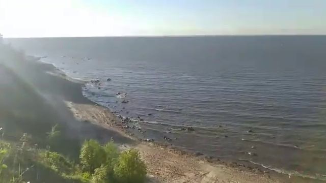 Питер, Лебяжье 2021 год.... смотреть онлайн