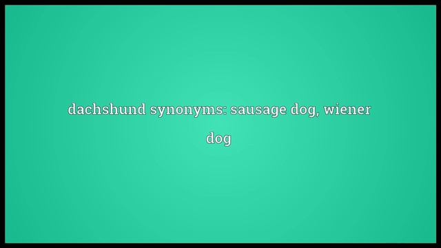 Dachshund Meaning смотреть онлайн