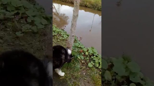 Meet hunter part1 смотреть онлайн