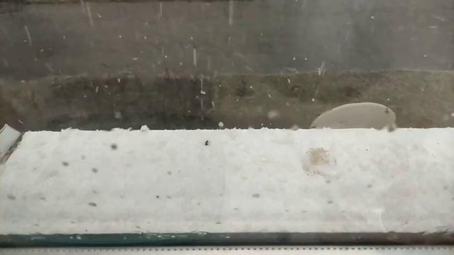 дождик с градом резво отлетает от отлива slow motion смотреть онлайн