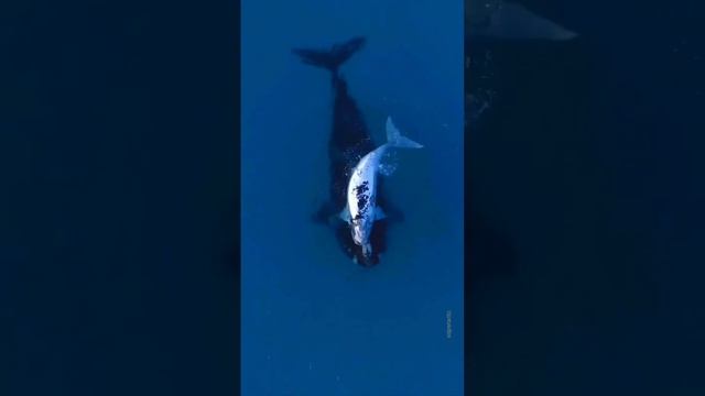 Друзья, желаю вам прекрасного летнего отдыха в этом году! ❤️🧡💛