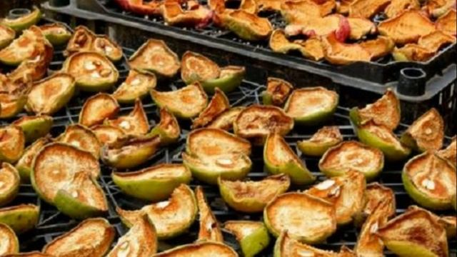 Эзотерическое предчувствие фокуса безумия