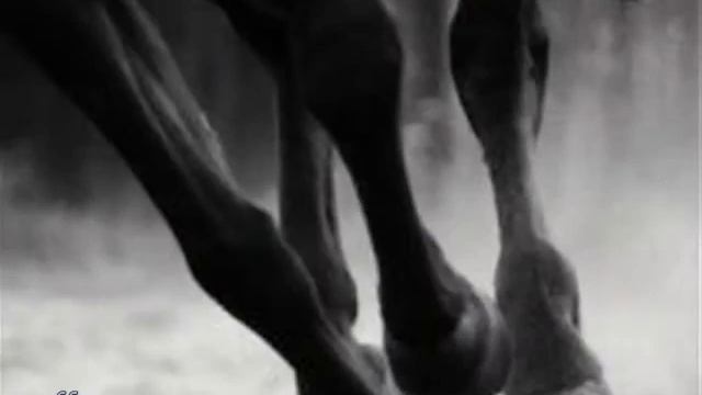 Edvin Marton - Tosca Fantasy смотреть онлайн