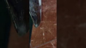 Садовая лопата закаливание.Садовая лопата как закалить