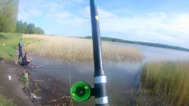 РЫБАЛКА НА КАРАСЯ В ИЮНЕ|ПЕРВАЯ ЛЕТНЯЯ РЫБАЛКА смотреть онлайн