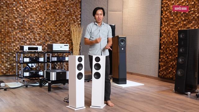 Audio Pro A48 - Đôi loa cột không dây WiFi, công suất 320 Watt, âm thanh mạnh mẽ, dải trầm ấn tượng смотреть онлайн