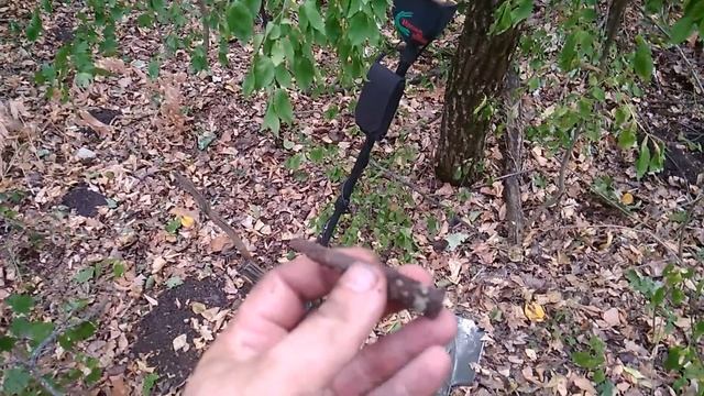 Коп 2020. Старый лес 3. Осторожно мины! ACE250(MD6250)