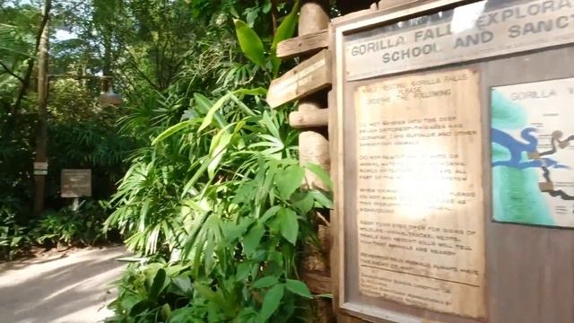 Disney's Animal Kingdom Park Riding Expedition Everest And Flight Of Passage! #animalkingdom