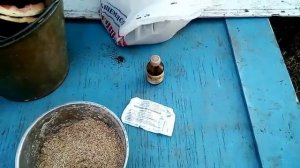 Кормление вьетнамских поросят(что нельзя и можно им давать)