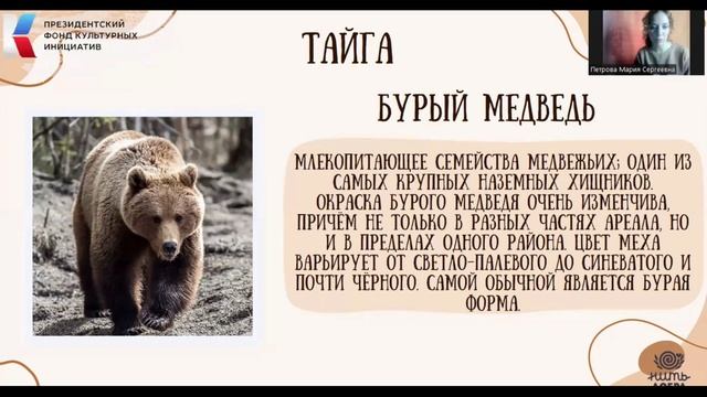 Животный мир России смотреть онлайн