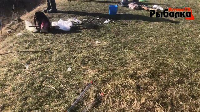 Кудьма удивляет,Но не всех!!!Ловля весенней плотвы на фидер и поплавок. смотреть онлайн