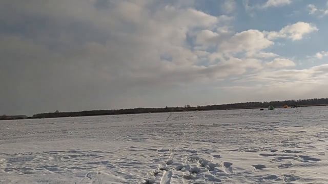 И снова лесное озеро удивляет!!!!! #щуканажерлицы #рыбалка #щука смотреть онлайн