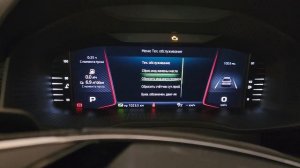 Kodiaq, сброс инспекционного и масляного сервиса кнопками руля